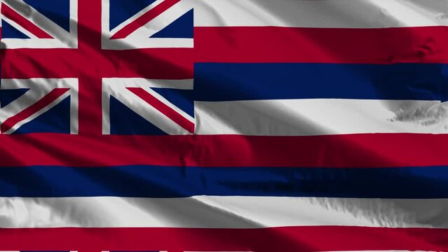 Close up of the waving flag of the United States Of America state of Hawaii