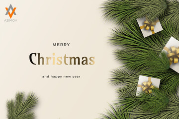 christmas card with fir branches