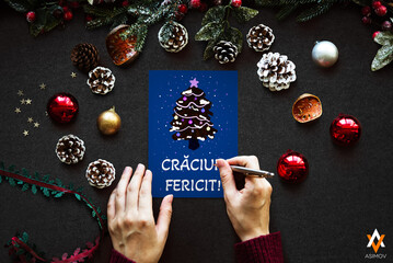 person holding christmas tree with baubles
