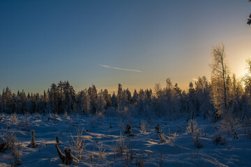 Magnificent winter landscape on a cold day