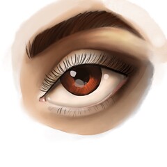 The illustration of the eye