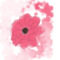 Watercolour illustration of pink flower with watercolour splashes 