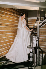 Elegant brunette bride posing in a white dress. Portrait of the bride, wedding makeup and...