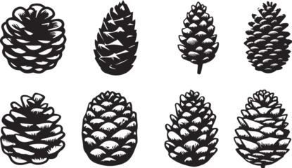 Foto auf Alu-Dibond pine cone EPS, pine cone Silhouette, pine cone Vector, pine cone Cut File, pine cone Vector © Milan