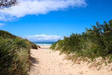 Fototapeta na wymiar View from dune top over sea, beach of ocean