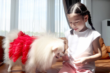 Happy smiling little cute girl playing with her fluffy white Pomeranian dog while sitting on the sofa in the living room. Kid with pet at home, child enjoy spending time with lovely animal friend.