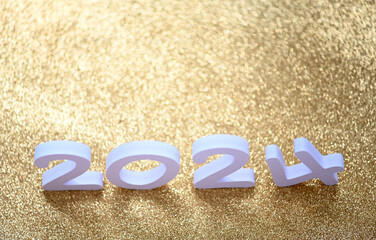 Countdown to 2024: Festive Cheers, Fireworks, and Happy Celebrations