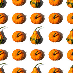 seamless pattern different pumpkins on a white background