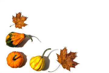 Three different pumpkins on a white background