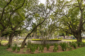 paisagem natural na cidade de Vitória, Estado do Espirito Santo, Brasil
