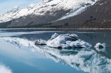 Strangely shaped growlers (little icebergs) with reflections floating in Prince William Sound in...