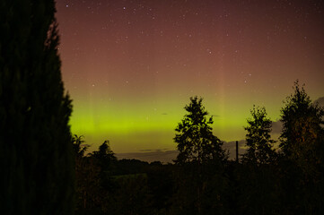 Yellow and Pink Aurora with tree silhouettes in the Scottish Borders, United Kingdom