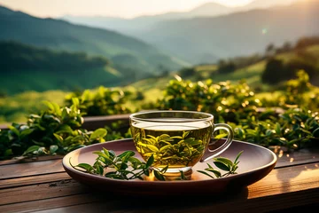 Poster Cup of green tea on wooden table with background of tea plantation, soft morning light colors, copy space. © Katerina Bond