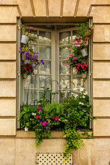 A window decorated with flower pots in Paris during summer