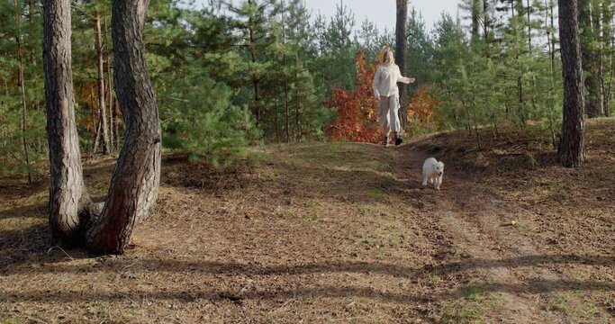 A teenage girl runs with a dog along a path in a pine forest.