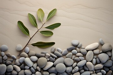 Natural Harmony  Sage Twig and Pebble Rocks on Sand, Serene Botanical Background