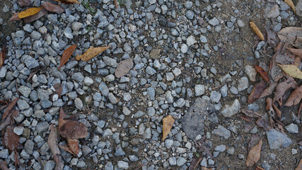 Gravel & fallen leaves