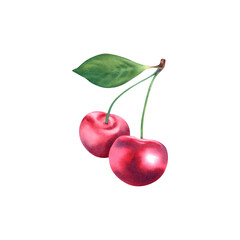The cherry is ripe. Watercolor illustration on a white background. Fruits, berries, juice. Vegetarian. Healthy eating. Logo, sticker printing.