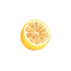 Lemon. Watercolor illustration. Citrus fruits. Vitamins in food. Healthy eating. Template, composition for printing.