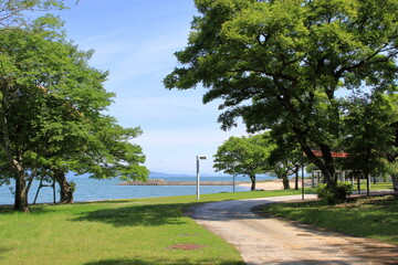 Obraz premium 海の見える公園