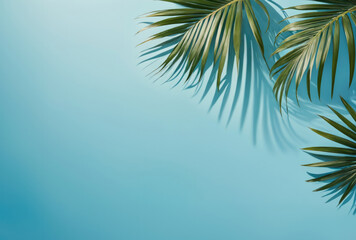 palm tree on blue. Minimal abstract background for product presentation. Spring and summer. 