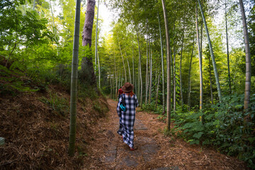A woman in a wide hat walks among coastal thickets of bamboo and wild grapes. The way to the wild Hydrangea beach. Tsikhisdziri Georgia
