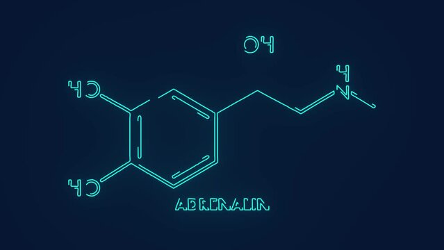 Adrenaline chemical hormone for visceral body functions science animation
