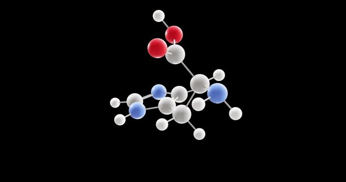 Histidine molecule, rotating 3D model of essential amino acid, looped video on a black background