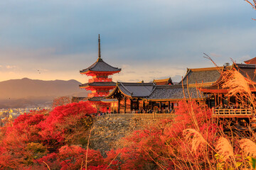秋の清水寺、夕映えの三重塔(京都市東山区清水)