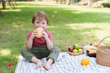 Adorable Caucasian boy sitting on a blanket in the grass in the village park. Eat bread to relieve hunger while playing until you're tired. The boy took the bread and ate it. Family holiday concept