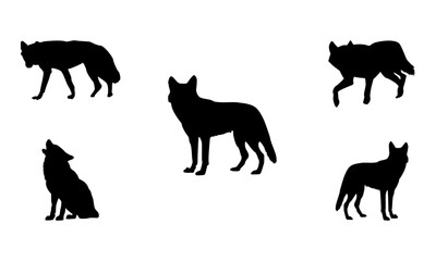 Red Wolf silhouette. Smooth and clean lines. High detailed Red Wolf silhouette. Vector Illustration