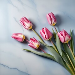 Serene Tulip Elegance: Bouquet of Pink Tulips on a Calming Pastel Blue Marble Background