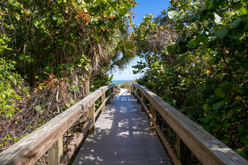 Fototapeta premium A boardwalk leads through lush greenery towards the Atlantic Ocean at Lori Wilson Park (Cocoa Beach), Florida.