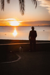 persona con su perro a la orilla del mar contemplando el amanecer