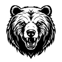 Grizzly Bear Head Vector Illustration