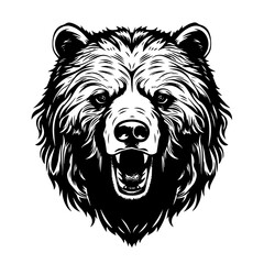 Grizzly Bear Head Vector Illustration