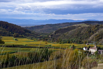 Naturschutzgebiet Badberg im Kaiserstuhl im Herbst