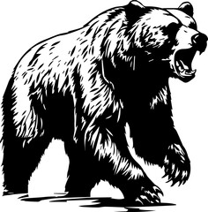 Stately Grizzly Bear Vector Illustration