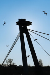 Bratislava iconic UFO bridge silhouette with birds flying on blue sky