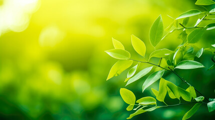 Fototapeta na wymiar Closeup nature view of green leaf on blurred greenery background under sunlight with bokeh and copy space using as background natural plants landscape, ecology cover page concept.