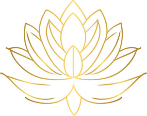 Golden lotus, gold lotus flower
