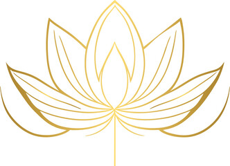 Golden lotus, gold lotus flower