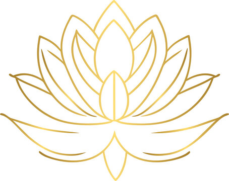 Golden lotus, gold lotus flower