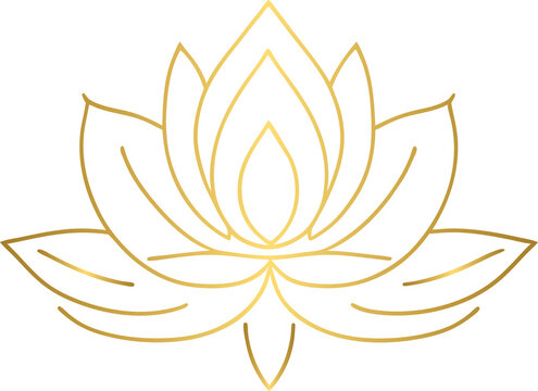 Golden lotus, gold lotus flower