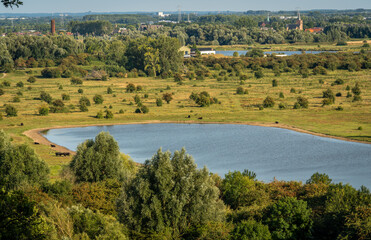 Hill top view of Blauwe Kamer nature reserve nearby the city of Rhenen, seen from the Grebbeberg observation point