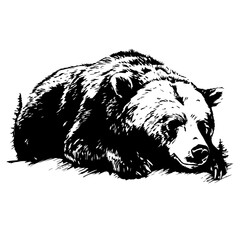 Peaceful Sleeping Grizzly Bear Vector Illustration