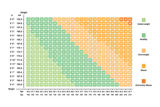 Body Mass Index (BMI) Concept Design. Vector Illustration.