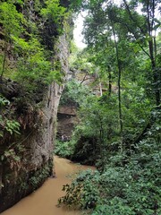 Parque Ambiental em Floresta na Amazônia.