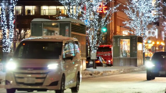 冬の札幌　ホワイトイルミネーション　音あり