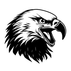  Bald Eagle Head Profile Vector Illustration